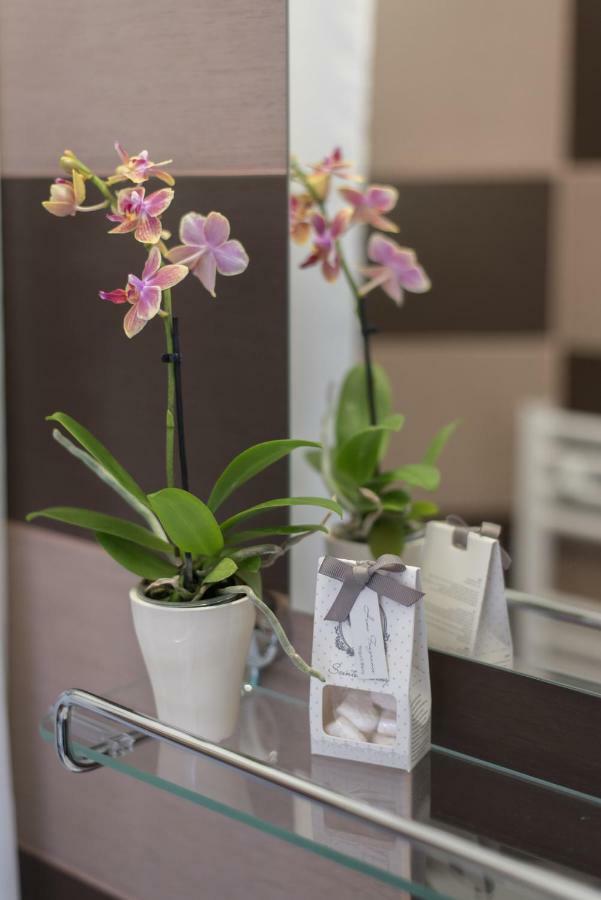 Nefelejcs Vendeghaz Hotel Toalmas ภายนอก รูปภาพ